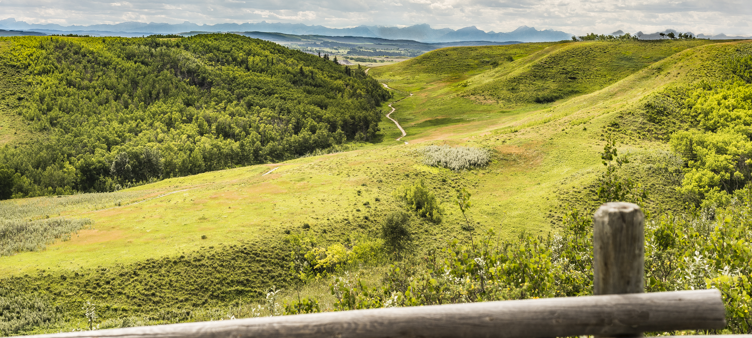 grasslands in Southern Alberta